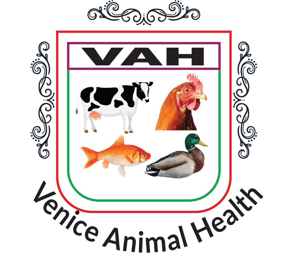 Venice Animal Health